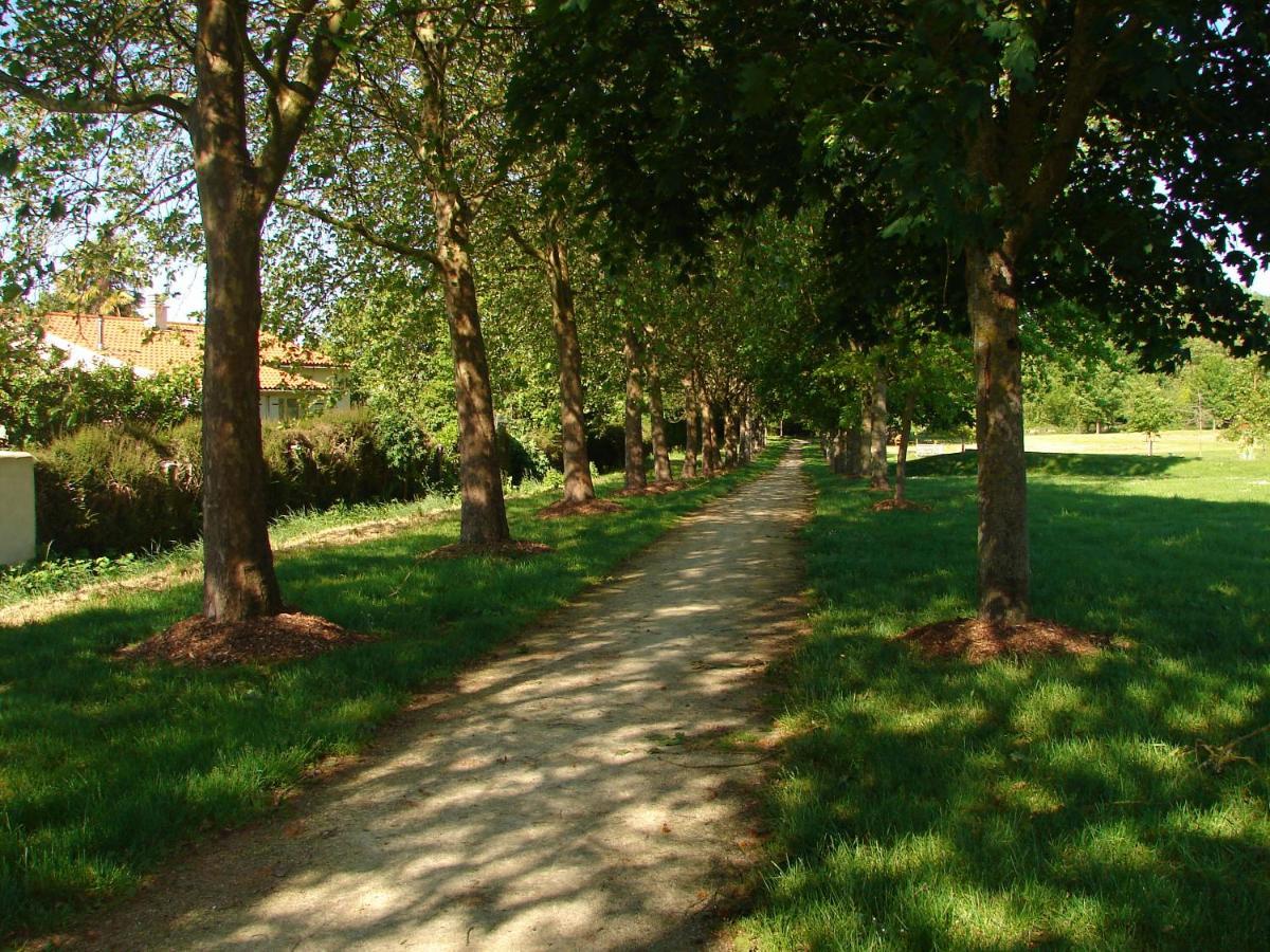 Coeur-De-Charente-Maritime, Au Fil De L'Eau Βίλα Saint-Germain-de-Marencennes Εξωτερικό φωτογραφία
